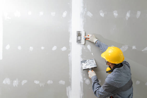 Best Black Mold Removal  in Harrisburg, NC