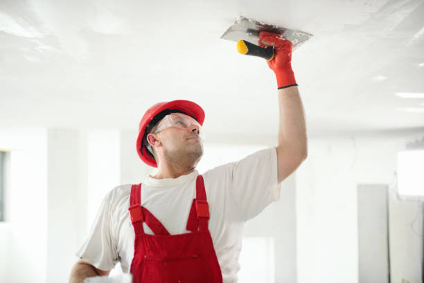 Best Asbestos and Lead Testing During Mold Inspection  in Harrisburg, NC