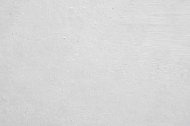 Harrisburg, NC Mold Removal Company