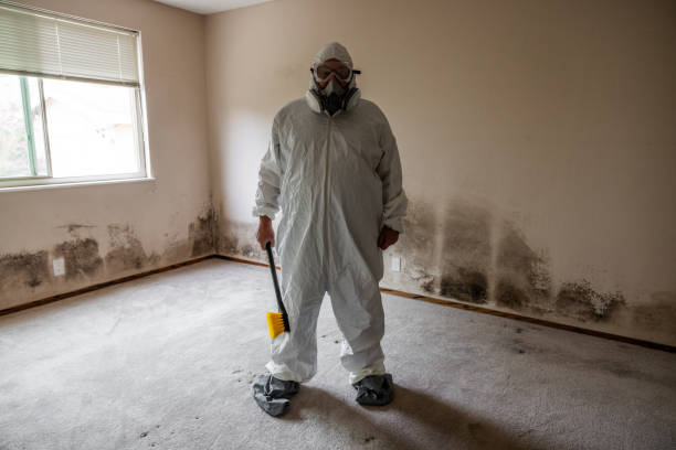 Best Asbestos and Lead Testing During Mold Inspection  in Harrisburg, NC